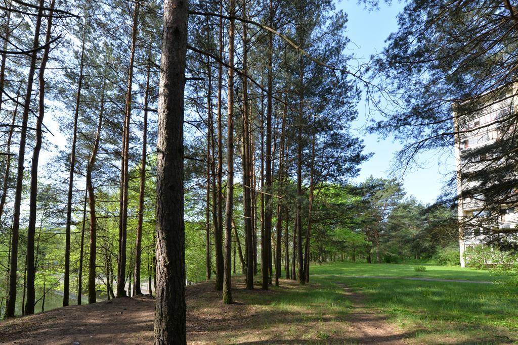 Apartamentai Prie Alkos Druskininkai Exteriör bild